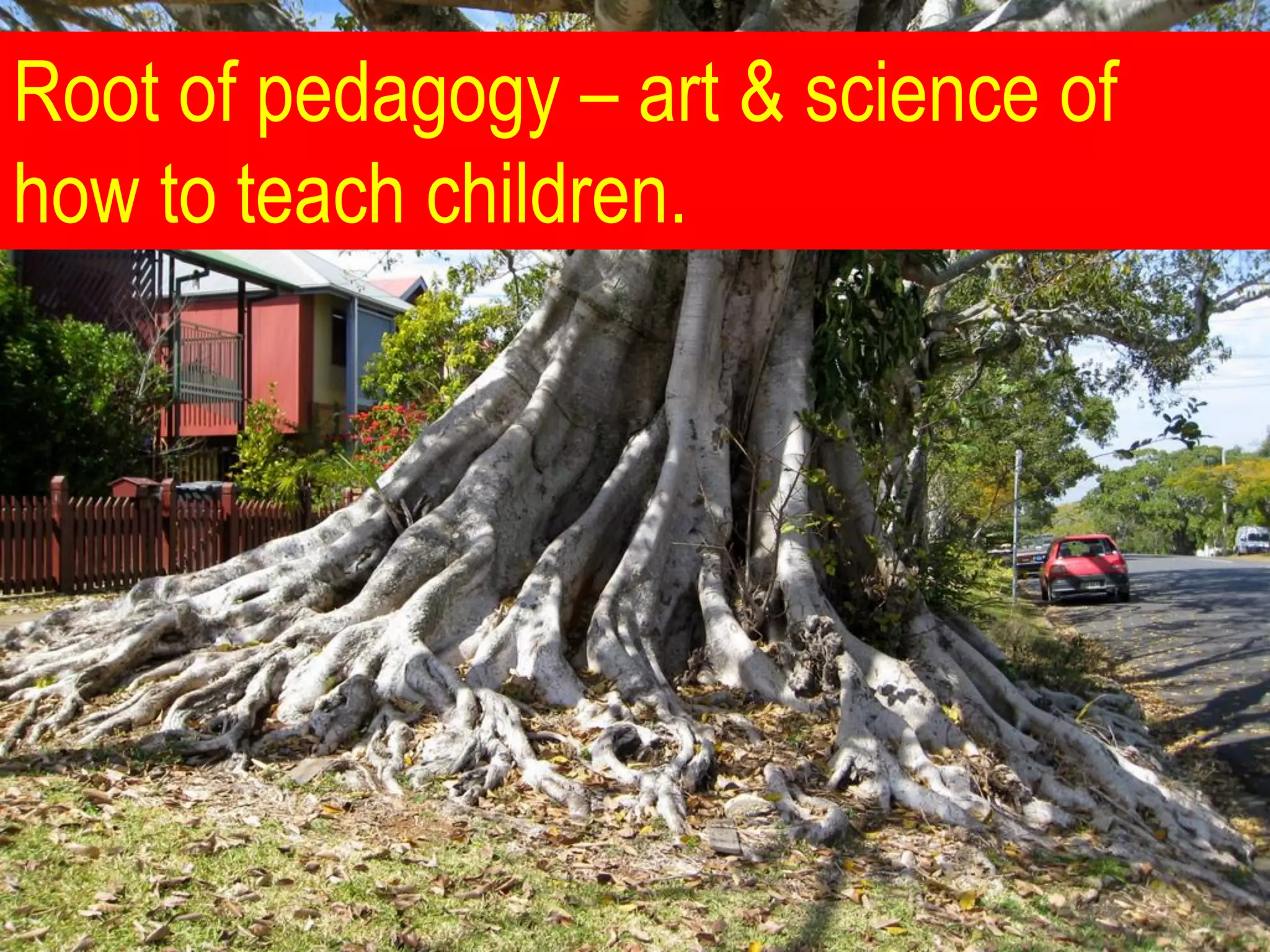 Root of pedagogy – art & science of
how to teach children.
 
