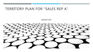 TERRITORY PLAN FOR “SALES REP A”
JANUARY 2021
 