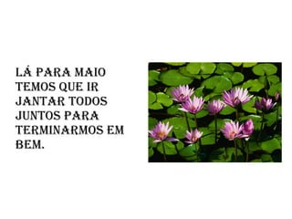 Lá para Maio temos que ir jantar todos juntos para terminarmos em bem.  