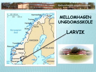 Mellomhagen Ungdomsskole Larvik