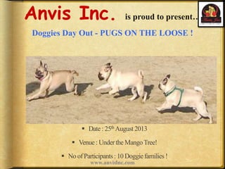 Anvis Inc. is proud to present…
Doggies Day Out - PUGS ON THE LOOSE !
www.anvisinc.com1
 