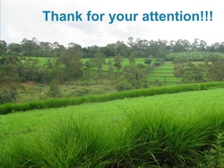 Thank for your attention!!!
 