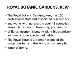 ROYAL BOTANIC GARDENS, KEW
• The Royal Botanic Gardens, Kew, has 150
professional staff and associated researchers
• and works with partners in over 42 countries.
Research focuses on taxonomy, preparation
• of floras, economic botany, plant biochemistry
and many other specialized fields.
• The Royal Botanic Gardens has one of the
largest herbaria in the world and an excellent
• botanic library.
 