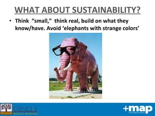 WHAT ABOUT SUSTAINABILITY? Think  “small,”  think real, build on what they know/have. Avoid ‘elephants with strange colors’ 