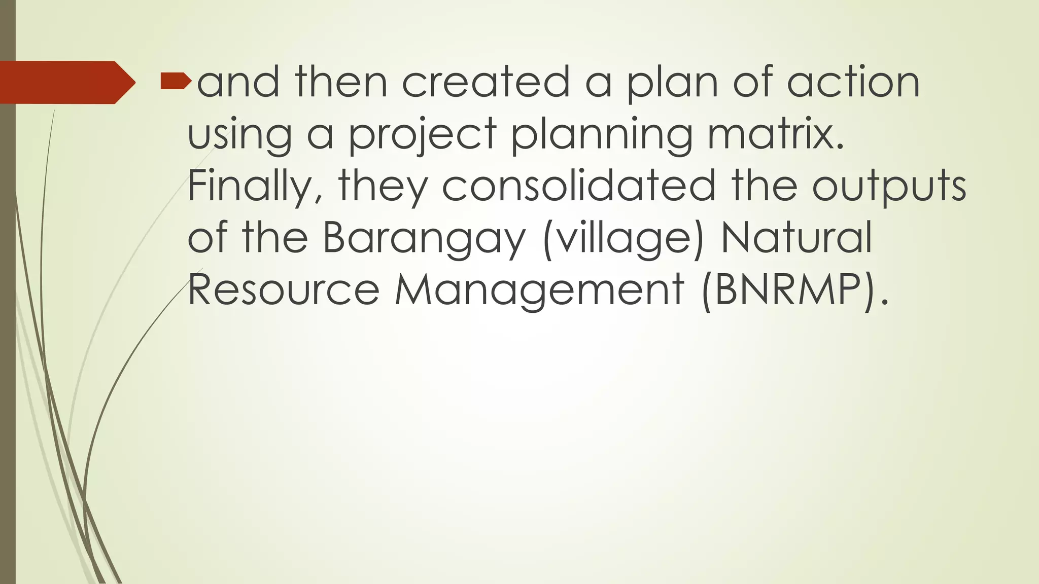 and then created a plan of action 
using a project planning matrix. 
Finally, they consolidated the outputs 
of the Barangay (village) Natural 
Resource Management (BNRMP). 
 