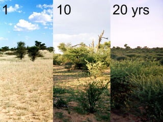 Participatory development: the case of land degradation in southern Africa