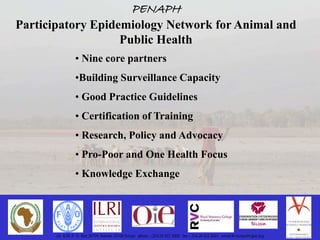 Participatory epidemiology and the use of models to design control strategies