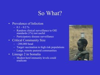 Participatory epidemiology and the use of models to design control strategies