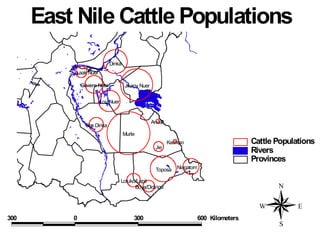 Participatory epidemiology and the use of models to design control strategies