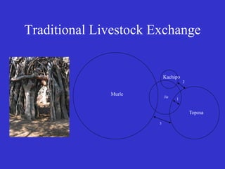 Participatory epidemiology and the use of models to design control strategies