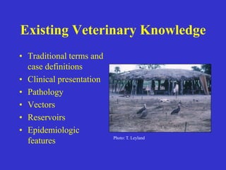 Participatory epidemiology and the use of models to design control strategies