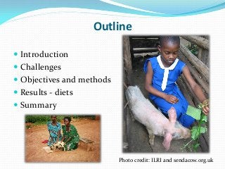 Development of balanced diets using local feeds for smallholder Kenyan pigs: Implications for livelihoods, human health and gender