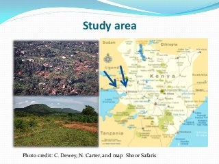 Development of balanced diets using local feeds for smallholder Kenyan pigs: Implications for livelihoods, human health and gender