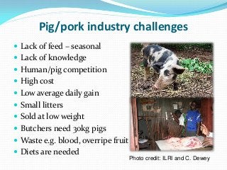 Development of balanced diets using local feeds for smallholder Kenyan pigs: Implications for livelihoods, human health and gender