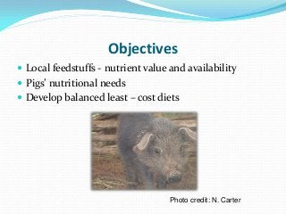 Development of balanced diets using local feeds for smallholder Kenyan pigs: Implications for livelihoods, human health and gender