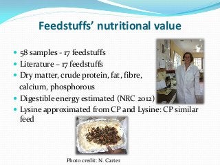 Development of balanced diets using local feeds for smallholder Kenyan pigs: Implications for livelihoods, human health and gender