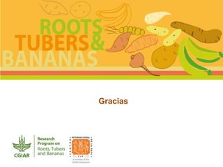 Participatory mapping for the systematic monitoring of biodiversity