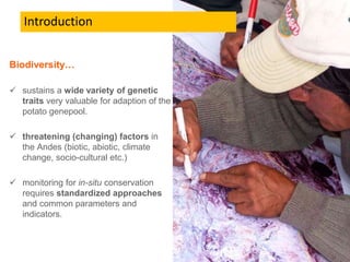 Biodiversity…
 sustains a wide variety of genetic
traits very valuable for adaption of the
potato genepool.
 threatening...