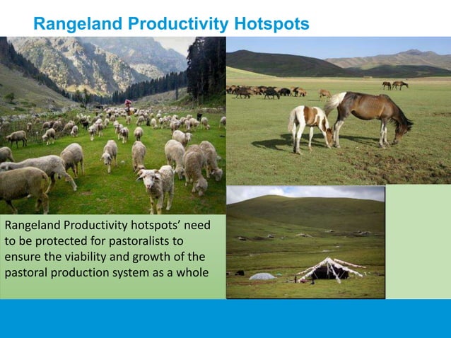 Provincial Rangelands Participatory Rangeland Management (PRM) | PPTX | Agriculture | Industries