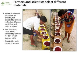 Participatory research and plant breeding in Honduras: improving livelihoods, transforming gender relations 