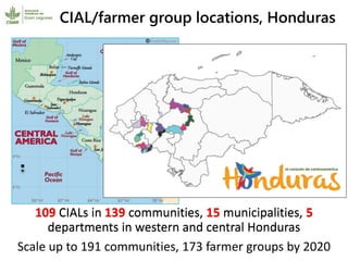 Participatory research and plant breeding in Honduras: improving livelihoods, transforming gender relations 