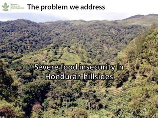 Participatory research and plant breeding in Honduras: improving livelihoods, transforming gender relations 