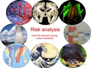 Participatory risk assessment:  Introduction