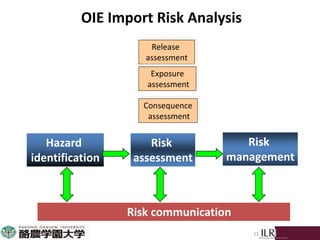 Participatory risk assessment:  Introduction