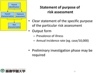 Participatory risk assessment:  Introduction