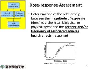 Participatory risk assessment:  Introduction