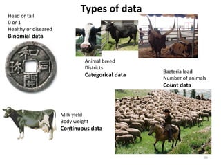 Participatory risk assessment:  Introduction
