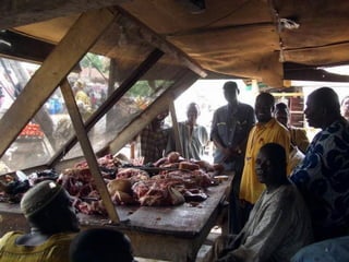 Participatory risk assessment:  Introduction