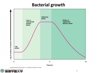 Participatory risk assessment: Risk modelling: I