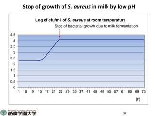 Participatory risk assessment: Risk modelling: I