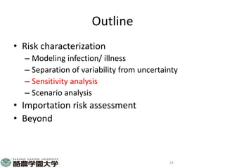 Participatory risk assessment: Risk modelling: II