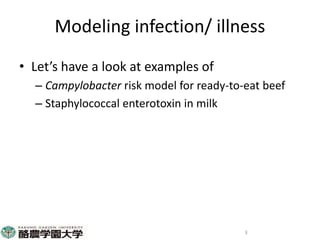 Participatory risk assessment: Risk modelling: II