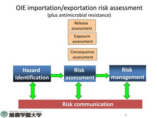 Participatory risk assessment: Risk modelling: II