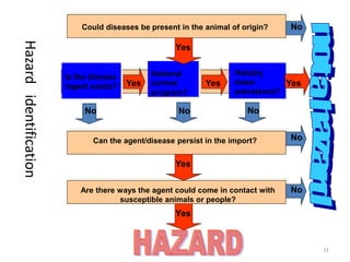 Participatory risk assessment: Risk modelling: II