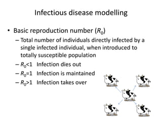 Participatory risk assessment: Risk modelling: II