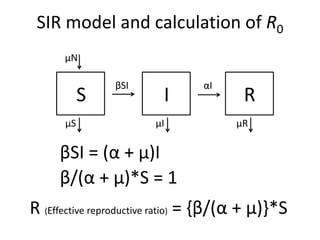 Participatory risk assessment: Risk modelling: II