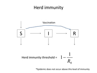 Participatory risk assessment: Risk modelling: II