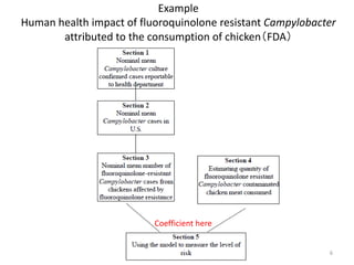 Participatory risk assessment: Risk modelling: II