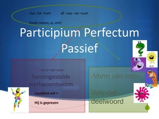 -tus –ta –tum        of –sus –sa –sum

 (zoals novus,-a,-um)


Participium Perfectum
        Passief
      + vorm van esse:
  Samengestelde                          -Vorm van esse:
 werkwoordsvorm
    Laudatus est =                       Voltooid
    Hij is geprezen                      deelwoord
                                                           S
 