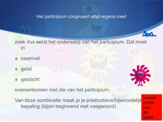 Het participium congrueert altijd ergens mee!




zoek dus eerst het onderwerp van het participium. Dat moet
  in

S naamval

S getal

S geslacht

overeenkomen met die van het participium.
                                                          hoewel
Van deze combinatie maak je je predicatieve/bijwoordelijke
                                                         omdat
  bepaling (bijzin beginnend met voegwoord)              toen
                                                          als
                                                          nadat
 