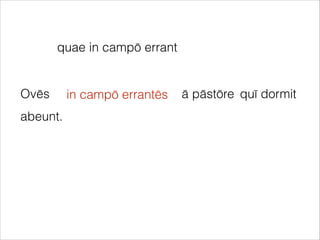 Ovēs ā pāstōre
abeunt.
quae in campō errant
in campō errantēs quī dormit
 