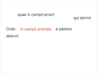 Ovēs ā pāstōre
abeunt.
quae in campō errant
in campō errantēs
quī dormit
 