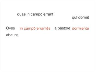 Ovēs ā pāstōre
abeunt.
quae in campō errant
in campō errantēs
quī dormit
dormiente
 