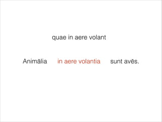 Animālia sunt avēs.
quae in aere volant
in aere volantia
 