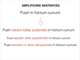 AMPLIFICĀRE SENTENTIĀS
Puerī in hortum currunt.
Puerī vōcem Iūliae audientēs in hortum currunt.
Puerī aquam rosīs quaerentēs in hortum currunt.
Puerī sorōrem in ātriō relinquentēs in hortum currunt.
 