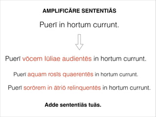 AMPLIFICĀRE SENTENTIĀS
Puerī in hortum currunt.
Puerī vōcem Iūliae audientēs in hortum currunt.
Puerī aquam rosīs quaerentēs in hortum currunt.
Puerī sorōrem in ātriō relinquentēs in hortum currunt.
Adde sententiās tuās.
 